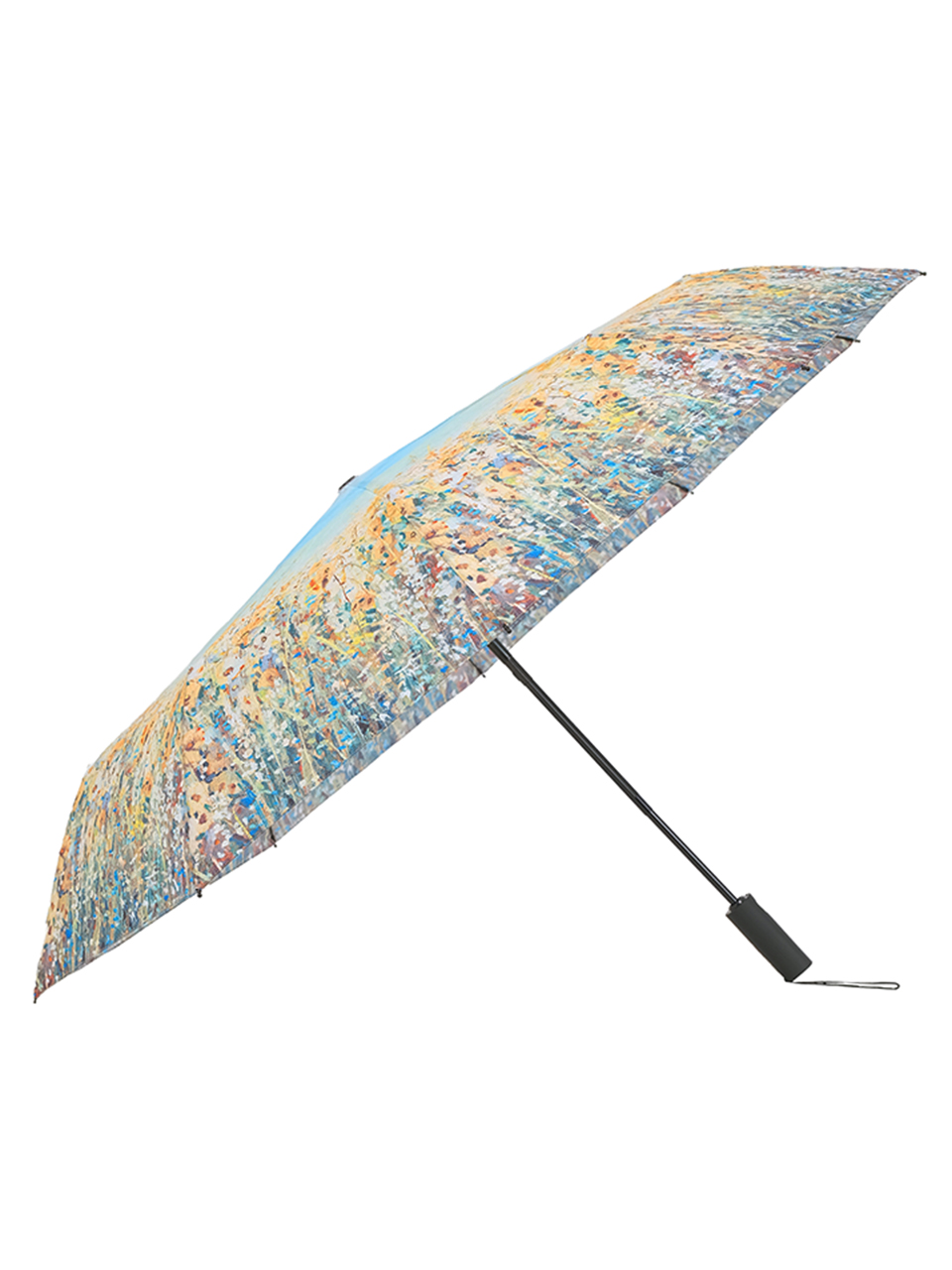 26889 Umbrella (AS)
